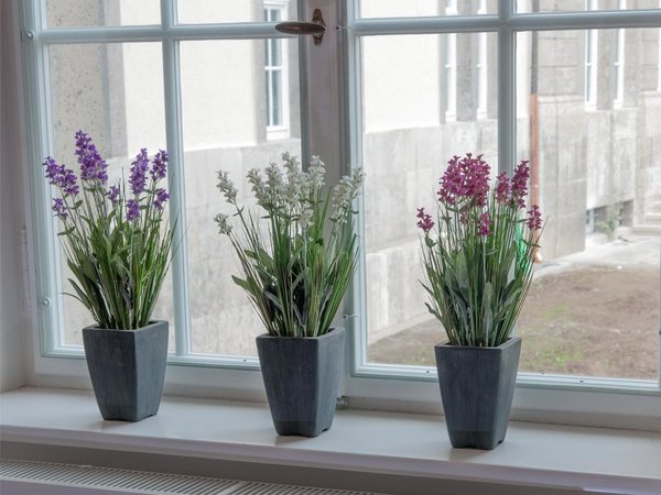EUROPALMS Lavendel, kunstpflanze, rosé, im Dekotopf, 45cm