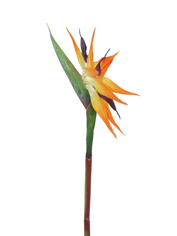 EUROPALMS Paradiesvogel-Blume, Kunstpflanze, orange, 95cm