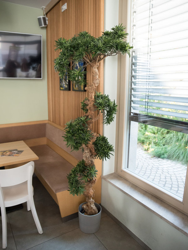 EUROPALMS Bonsai-Palmenbaum, Kunstpflanze, 180cm (Restposten)