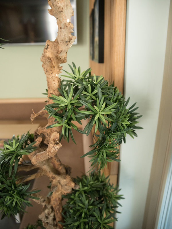 EUROPALMS Bonsai-Palmenbaum, Kunstpflanze, 180cm (Restposten)