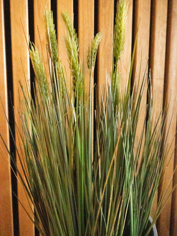 EUROPALMS Weizen Frühsommer, künstlich, 60cm