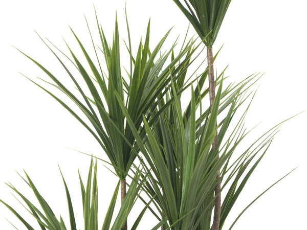 EUROPALMS Yucca Palme, Kunstpflanze, 130cm
