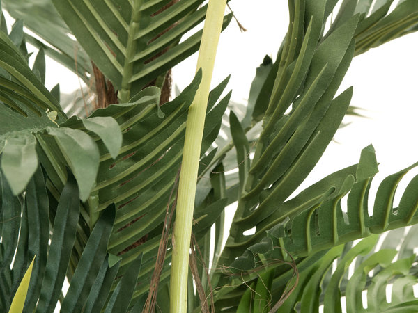 EUROPALMS Kentia Palme, Kunstpflanze, 180cm