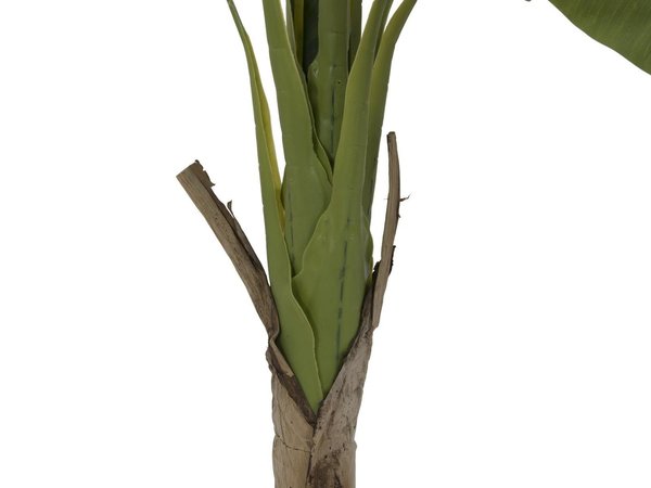 EUROPALMS Bananenbaum, Kunstpflanze, 145cm