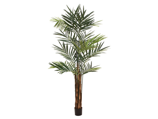 EUROPALMS Kentia Palme, Kunstpflanze, 300cm