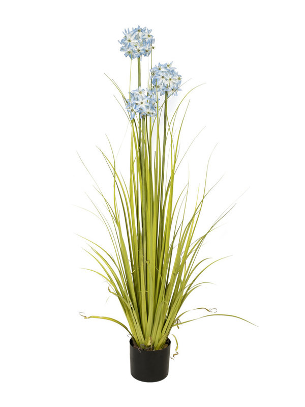 EUROPALMS Alliumgras, Kunstpflanze, blau, 120 cm